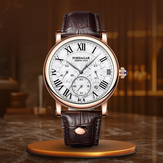 Nolan | Luxury Casual Fashion Chronograph Watch