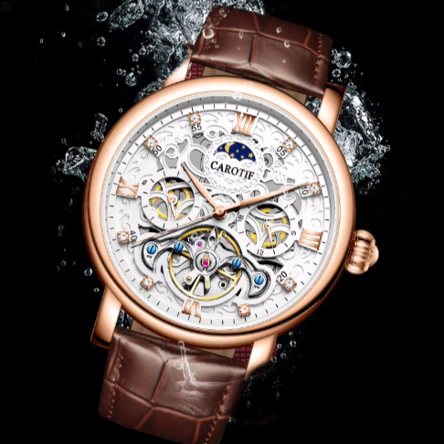 Robert | Business Leather Band Mechanical Automatic Watch